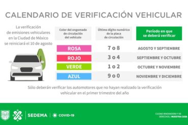 verificacion