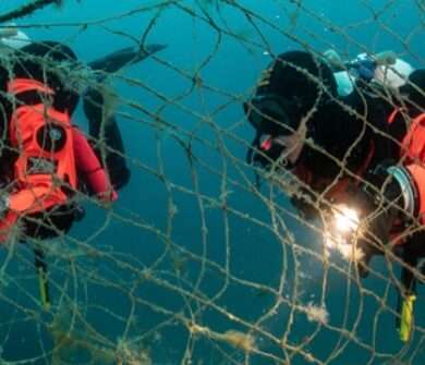 Hyundai limpia los mares