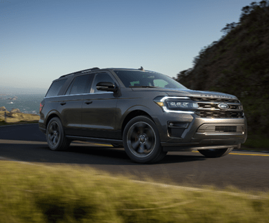 Ford Expedition Stealth Performance