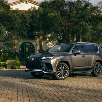 LEXUS The Standard of Amazing