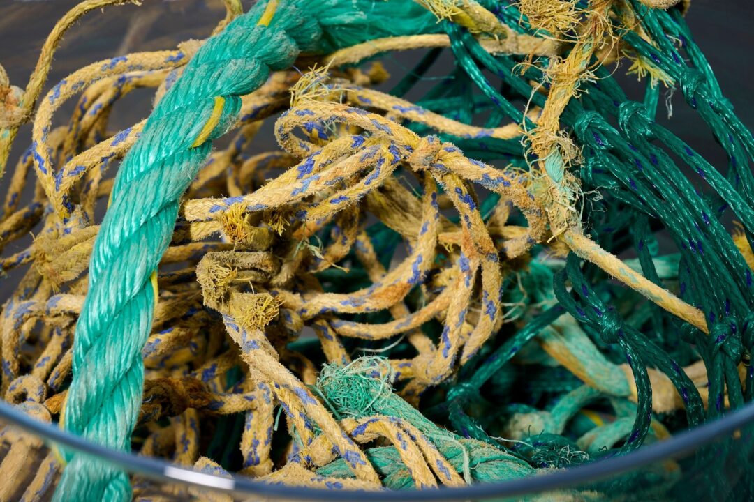 P90612644_lowRes_fishing-nets-ropes-p