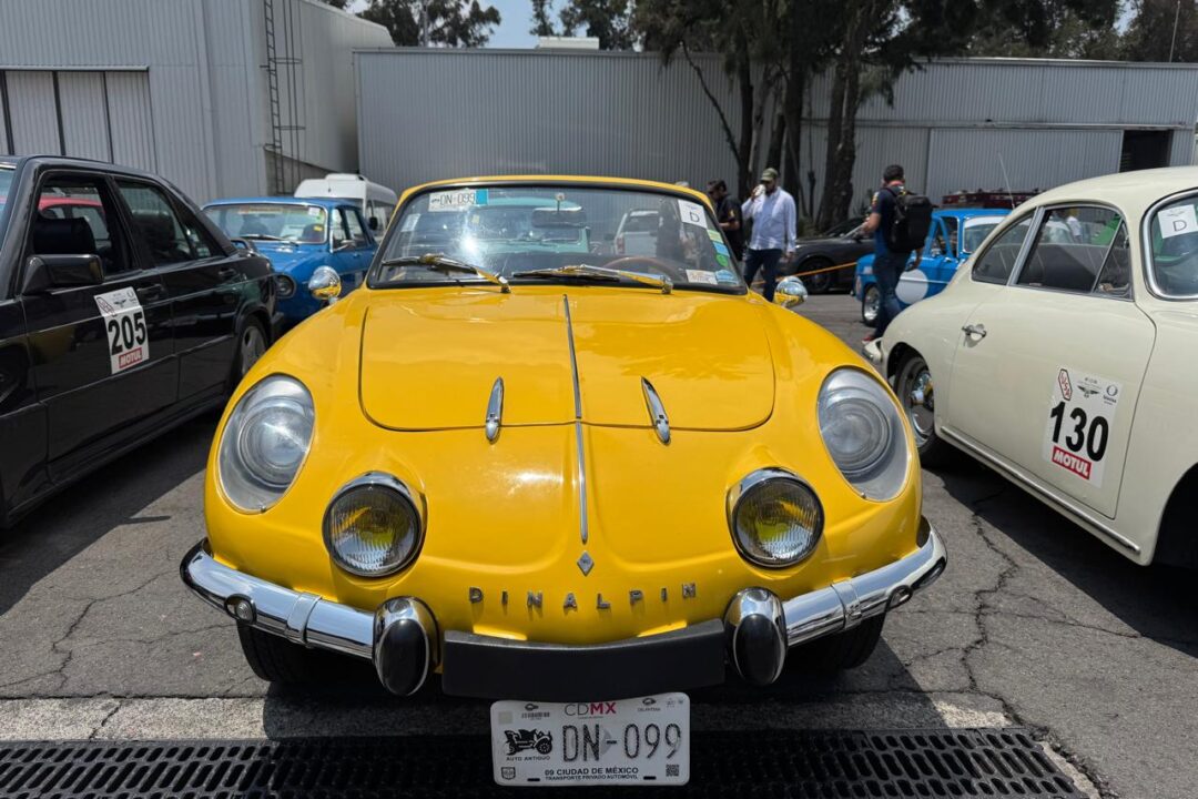 WhatsApp Image 2025-08-11 at 11.02.20 AM