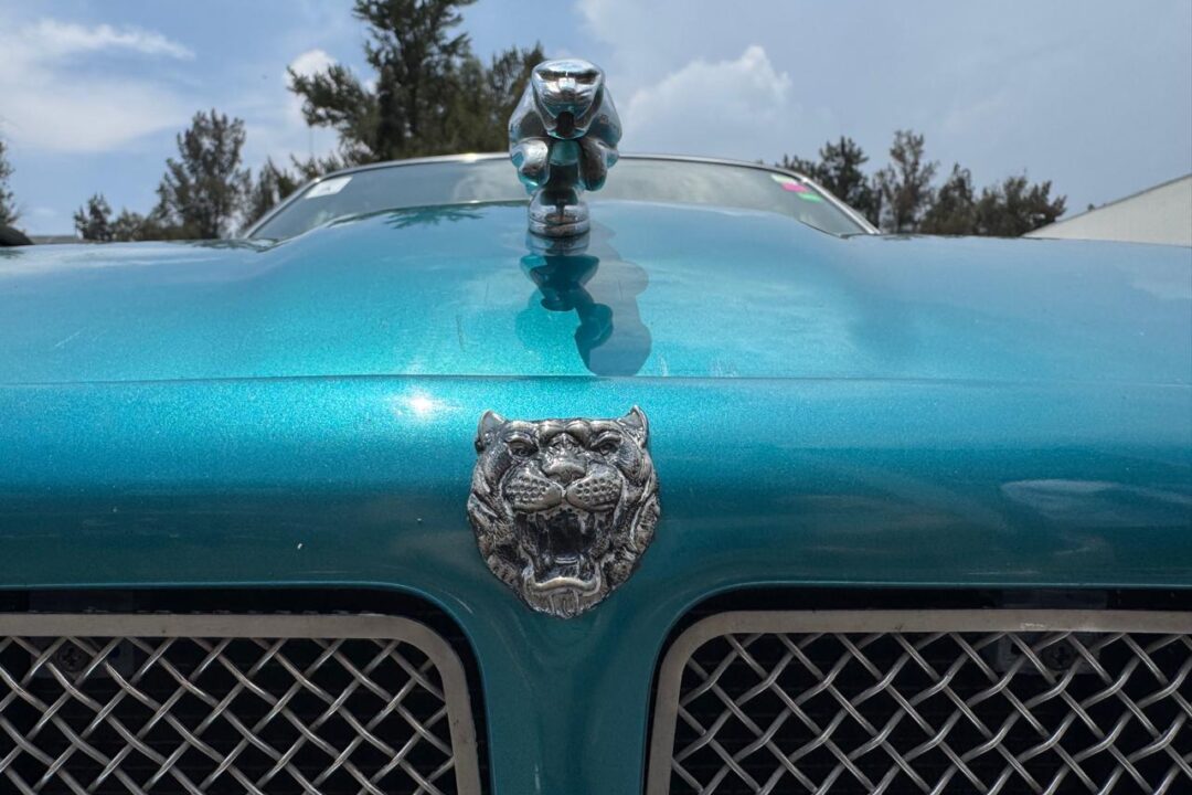 WhatsApp Image 2025-08-11 at 11.02.20 AM (7)