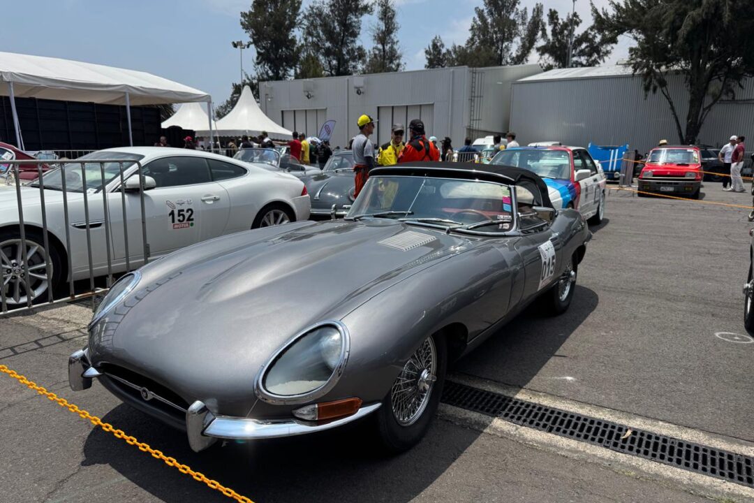 WhatsApp Image 2025-08-11 at 11.02.20 AM (9)