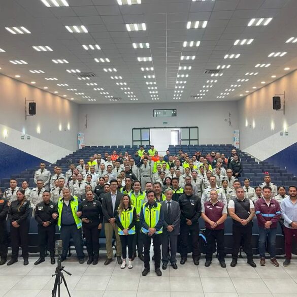 Seguridad Vial