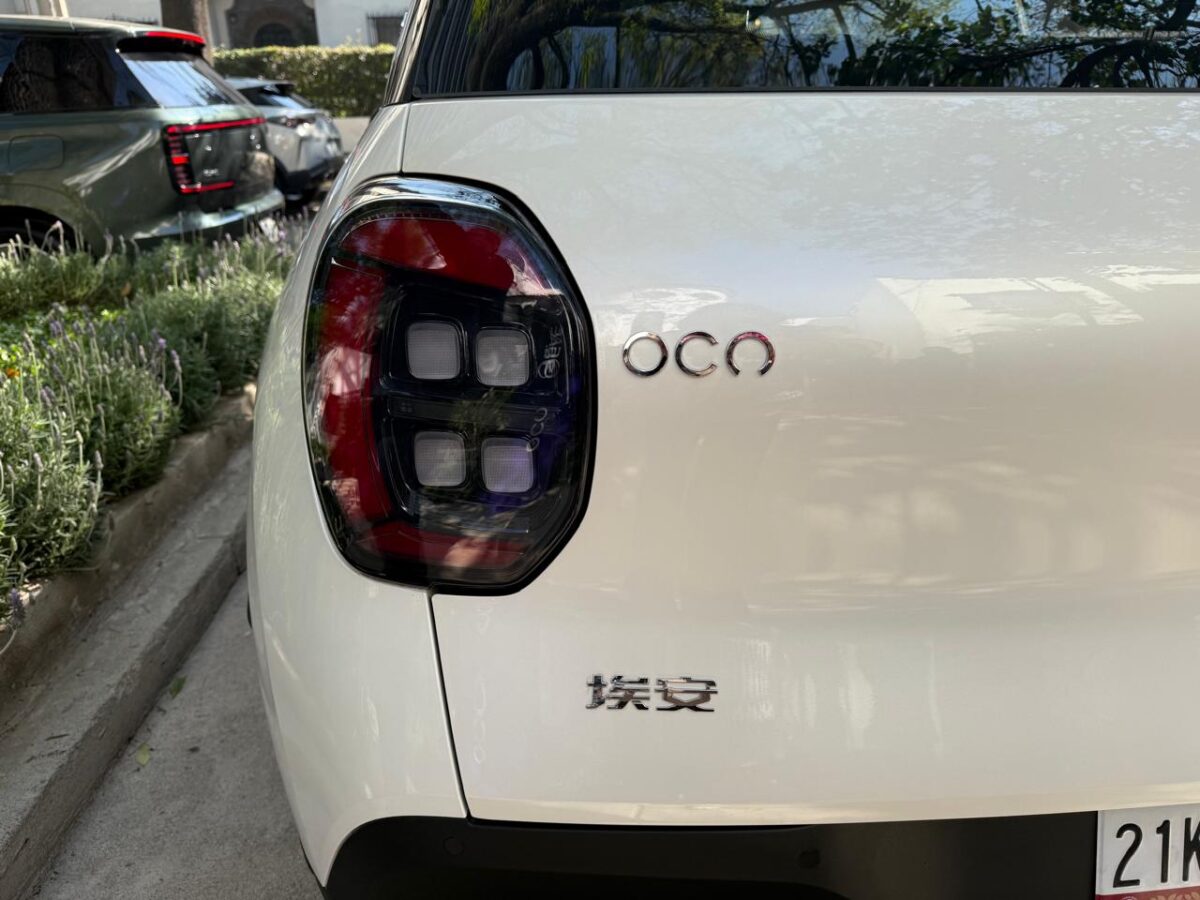 WhatsApp Image 2026-01-22 at 10.30.32 PM (1)